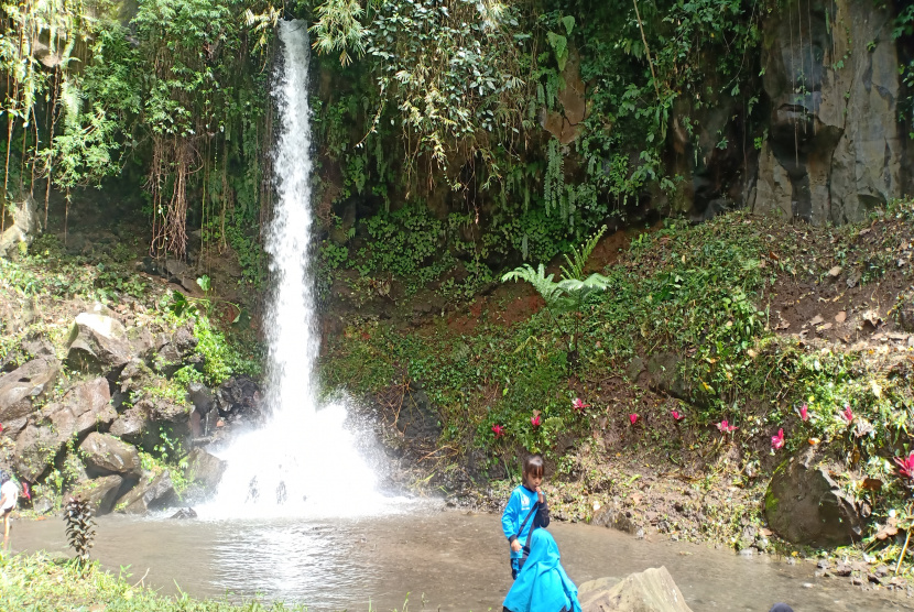 Wisata Air Terjun Dibalik Keindahan Alam Perkebunan Banyuwangi 