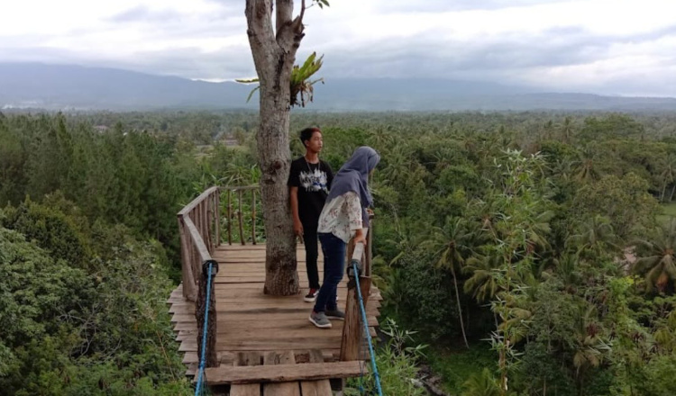 Pesona Bukit Mondeleko di Banyuwangi, Cocok Bagi Pecinta Panorama Alam yang Asri dan Segar