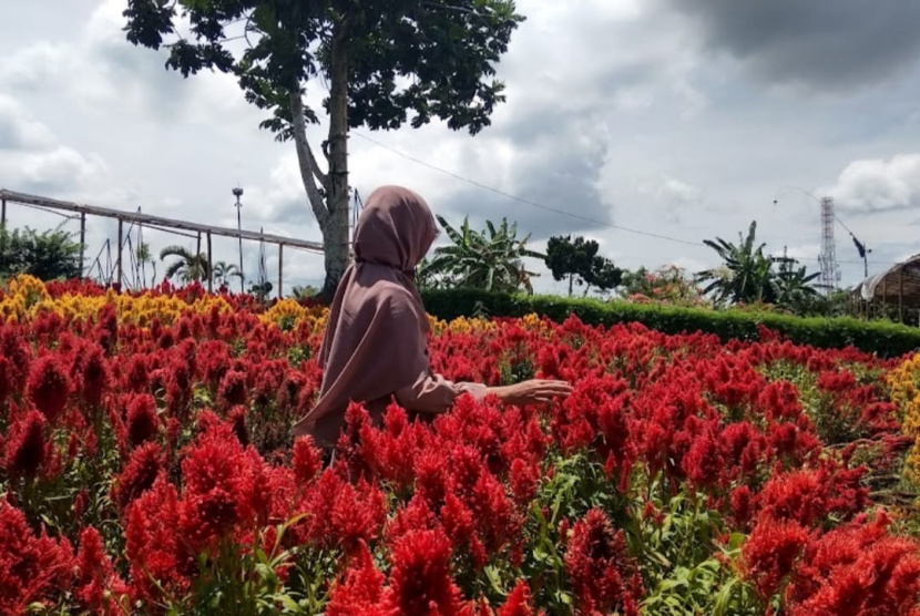 AWT Banyuwangi Dipercantik Hadirkan Pesona Budaya dan Alam yang Otentik 