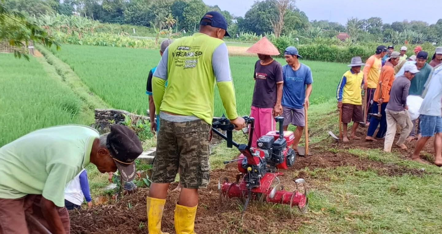 Petani dan Korsda Cluring Bergandeng Tangan Perbaiki Tanggul untuk Jaga Pertanian